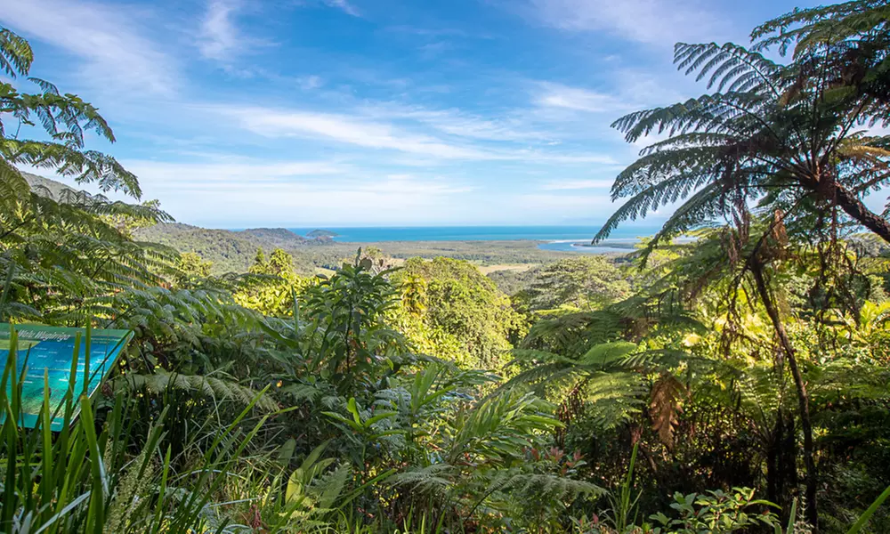 Daintree and Cape Tribulation: 1-Day 4WD Experience for Up to 4