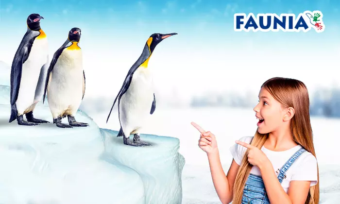 ¡Conoce el mundo animal! Entrada infantil, general o sénior a elegir para Faunia Madrid, ahorra hasta un 49%