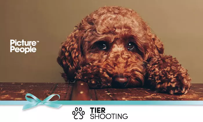 90 Min. Haustier Fotoshooting inkl. 2-5 Bildern + Geschenk