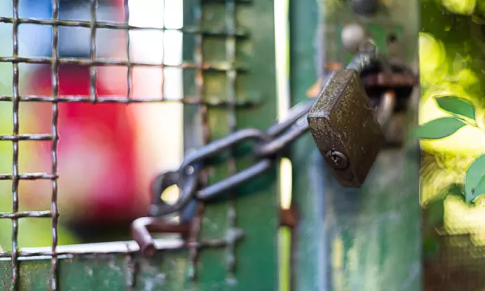 Foto-Webinar: Grundlagen der Fotografie