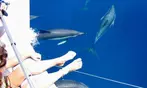 Excursión en catamarán para 2 personas con opción de hasta 3 niños