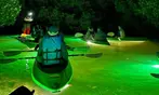 Glass Bottom Kayak LED Night Tour Deal - 75-Minute Fish Feeding Discount