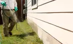 Pests Prevention and Elimination Treatment (Up to 54% Off).