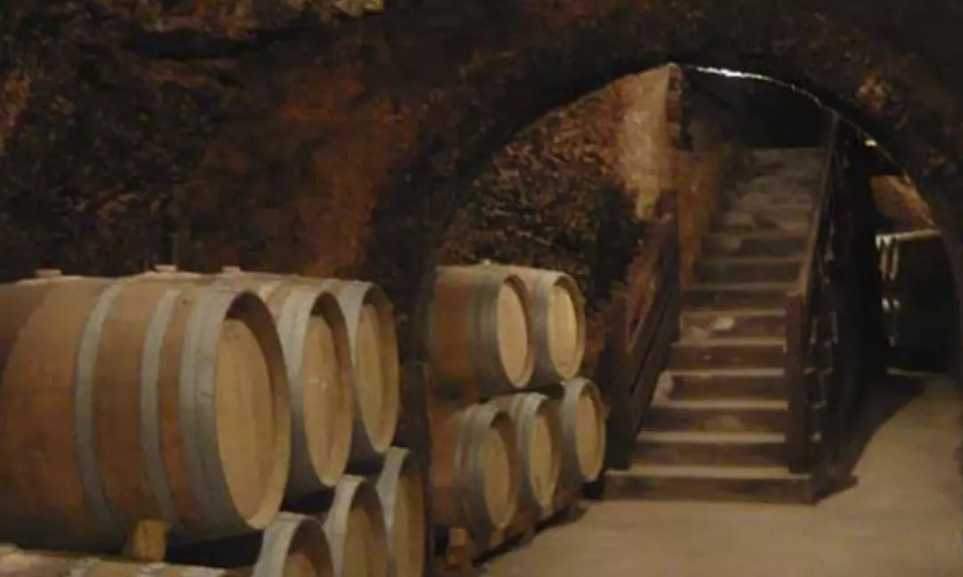 Visita guiada y cata de vinos en Bodegas Jesús Díaz e Hijos