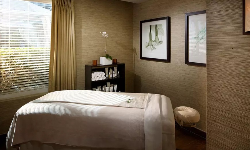 Spa Q at Beach House Fort Lauderdale A Hilton Resort(MassageorFacial)