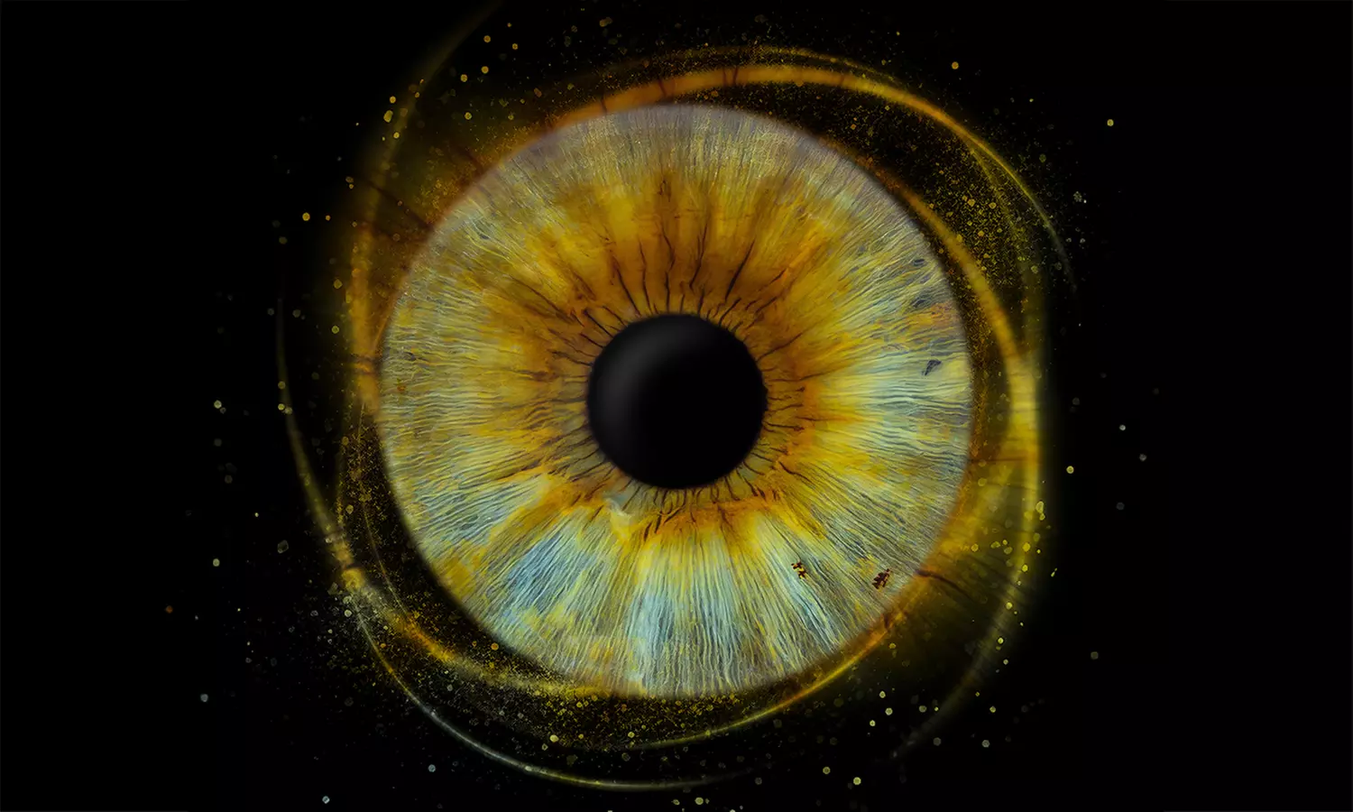 Odkryj magię spojrzenia: zdjęcia Twojej tęczówki w artystycznej formie