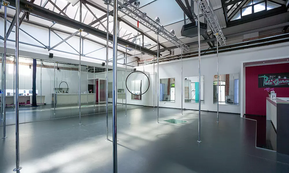 Poledance-Kurs
