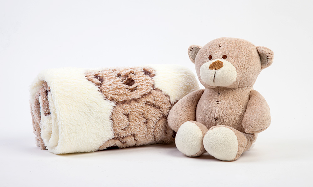 teddy bear and blanket set