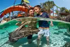 SUMMER SALE! Admission to Aquatica San Antonio Up to 59% Off)