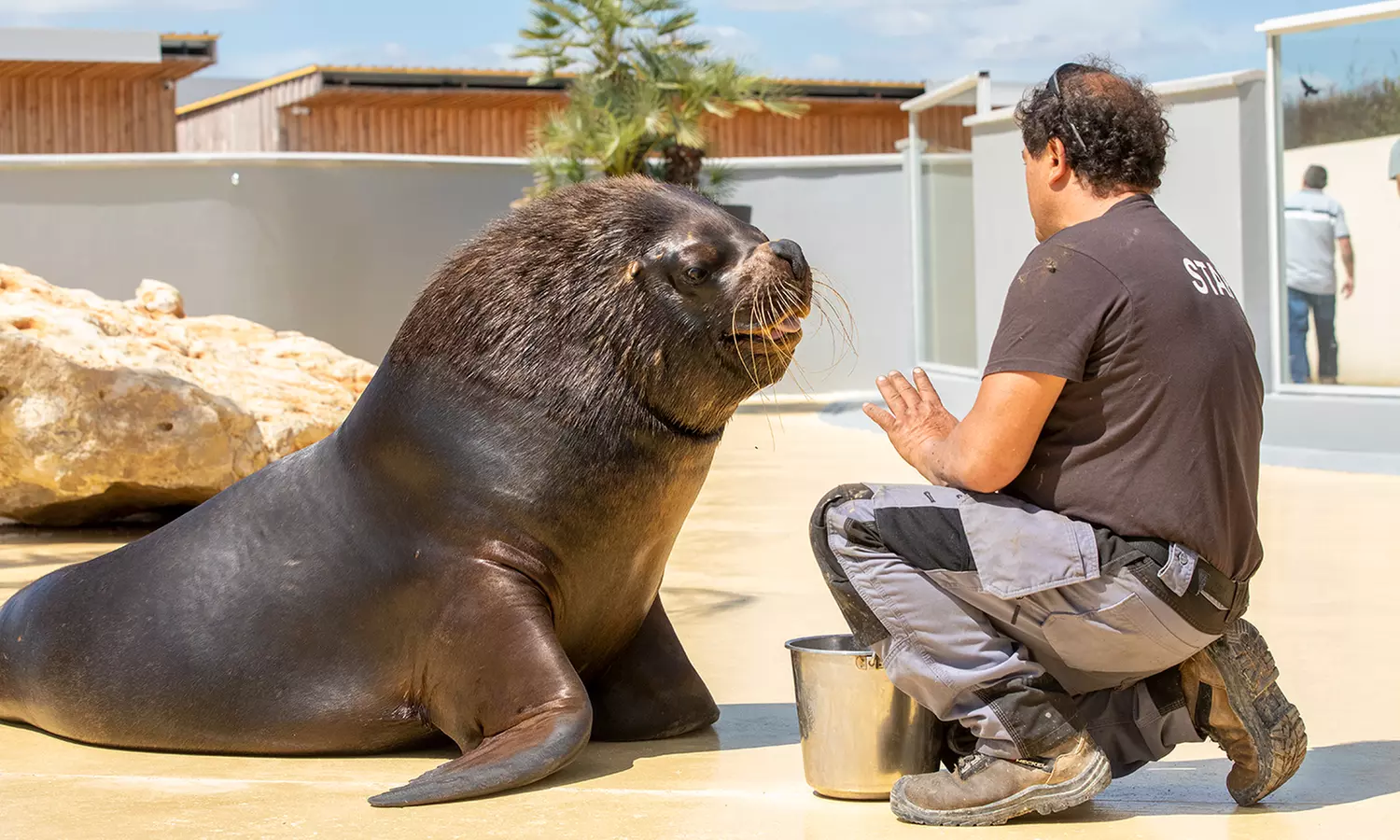 Entrées adulte et enfant au choix au Zoo Refuge La Tanière