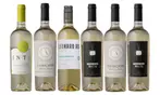 Splash Wines: Premium Sauvignon Blanc Collection, Crisp & Citrus-Forward White Wine