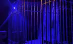 Experience the ultimate thrill: Dungeon or Torture Escape Rooms