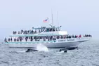 Book Now & Save 10% on Monterey Bay Whale Watching Tours