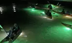 Glass Bottom Kayak LED Night Tour Deal - 75-Minute Fish Feeding Discount