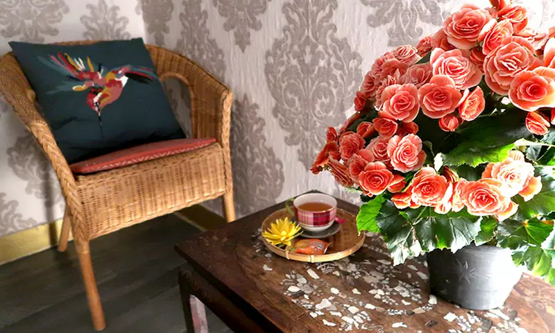 Jusqu'à 46% de remise sur Massage - Thaïlandais chez Sala Bun spa