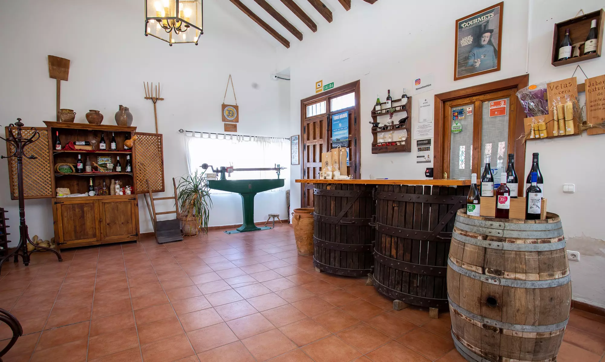 Visita guiada y cata de vinos en Bodegas Jesús Díaz e Hijos