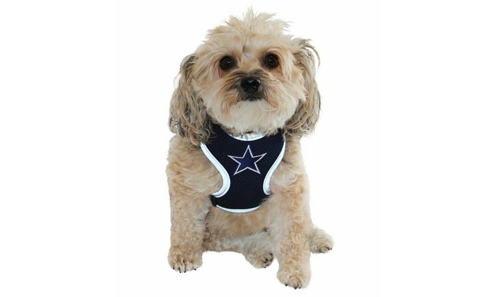 NFL Dog Harness Vests Deal Of The Day | Groupon