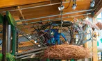 Hands On Children's Museum Deals - Interactive Exhibits & Adventures