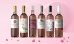 Splash Wines: Rosé Collection - 6 or 12 Bottles of Crisp Rosé Wine