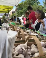Cleveland Garlic Festival: Food, Fun & Community in Shaker Square