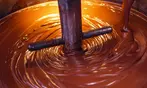 Up to 19% Off Manoa Chocolate Factory Tour