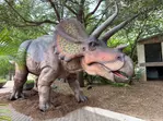 San Antonio Zoo Discount Tickets & Savings!