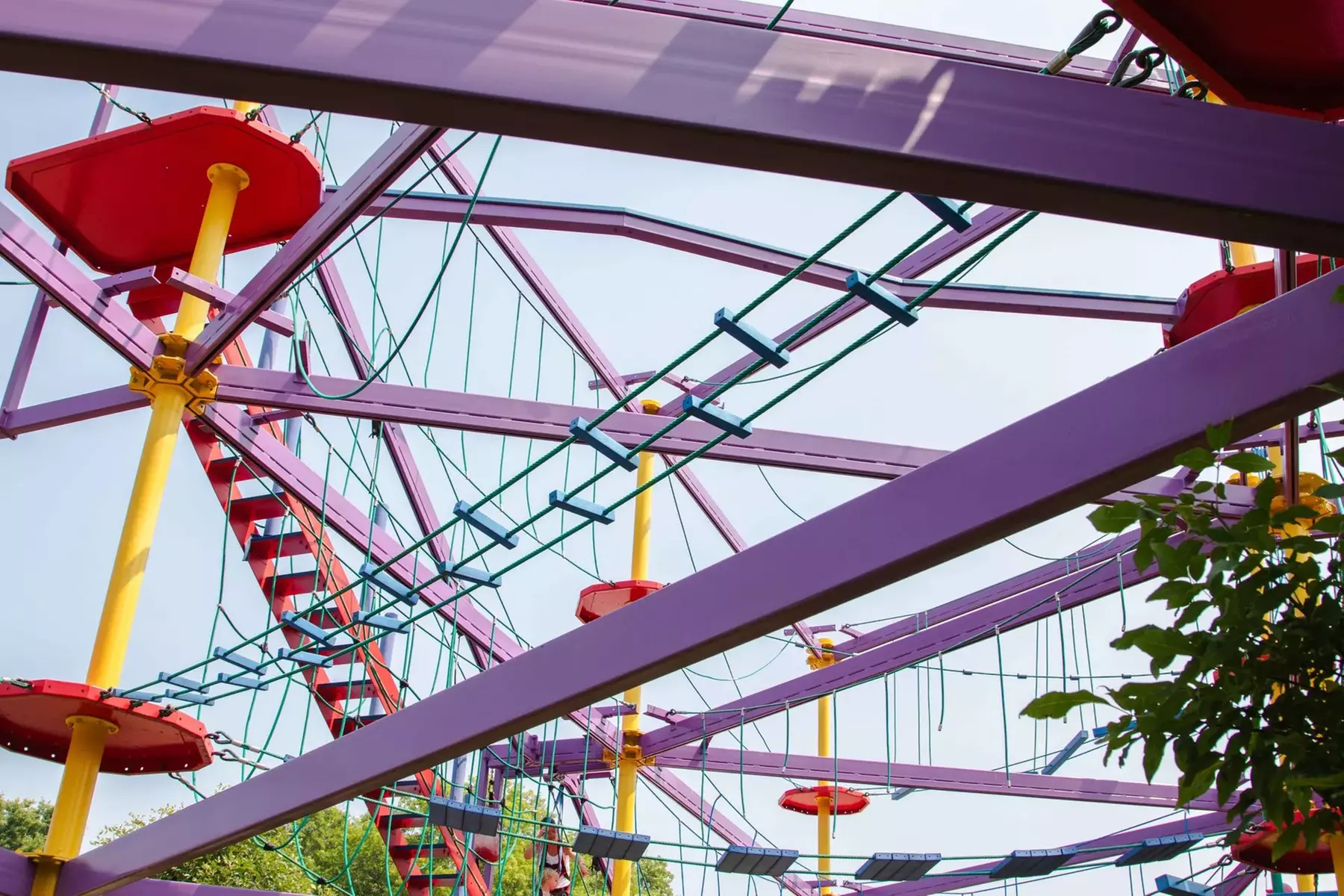 Safari Niagara: Animal Encounters & Thrilling Adventures