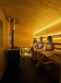 Relaxing Wellness: Sauna, Plunge Pool & Hot Tub Access for 1, 2 or 4