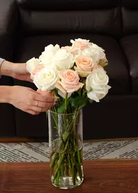 24 or 36ct Roses Long Stem Rose Bouquet | Farm Fresh (Up to 74% Off)