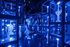 FloridaRAMA Museum Admission Deals for Adults & Children