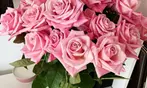Rose Farmers All-In-One Deal: Farmer's Choice Roses with Vase & Shipping Included Up to 48% Off