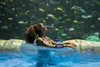 END OF SUMMER SALE! Save up to 59% on Aquatica Orlando Deals
