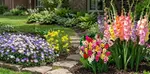 Flower Bulb Collections: Bleeding Hearts, Baby's Breath, Gladiolus, Bee & Butterfly Garden