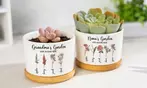 Tus plantas, a todo color: 1 o 2 macetas de cerámica personalizables