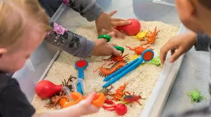 Certyfikowany eKurs: Doradca w zakresie wczesnego wspomagania rozwoju dziecka z Online Edukacja (do -60%)