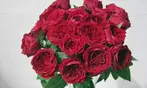 Rose Farmers All-In-One Deal: Farmer's Choice Roses with Vase & Shipping Included Up to 48% Off