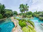 SPECIAL OFFER! Discovery Cove Day Resort – Orlando's #1 Theme Park