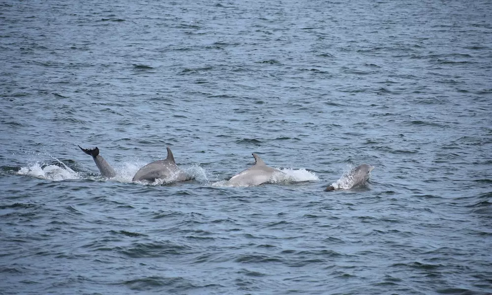 Half-Day Fishing Adventure – Belmar, NJ