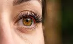 Online Eyelash Technician Course for Aspiring Artists