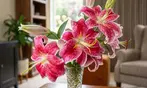 Flower Bulb Collections: Bleeding Hearts, Baby's Breath, Gladiolus, Bee & Butterfly Garden