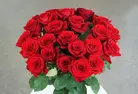 24 or 36ct Roses Long Stem Rose Bouquet | Farm Fresh (Up to 74% Off)