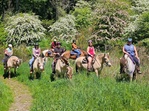 Up to 49% Off Horseback Rides for 1 or 2 People