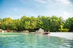 SPECIAL OFFER! Discovery Cove Day Resort – Orlando's #1 Theme Park