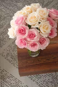 24 or 36ct Roses Long Stem Rose Bouquet | Farm Fresh (Up to 74% Off)