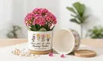 Tus plantas, a todo color: 1 o 2 macetas de cerámica personalizables