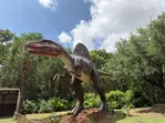 San Antonio Zoo Discount Tickets & Savings!