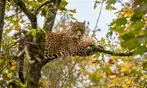 Découvrez Lumigny Safari Réserve et Terre de Singes