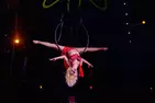 Flip Circus (Through August 30) (Up To 45% Off)