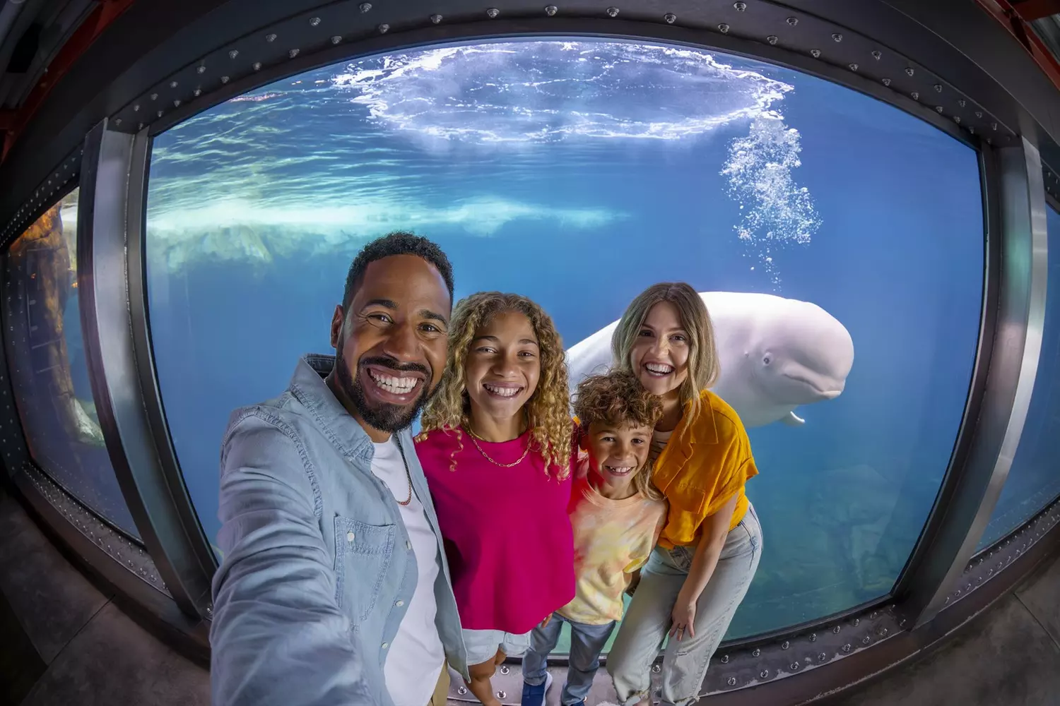 LABOR DAY SALE! SeaWorld San Diego Ticket Deals Up to 63% Off
