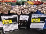 Cleveland Garlic Festival: Food, Fun & Community in Shaker Square